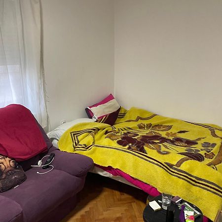 Apartmán Vila Zoka Niska Banja Exteriér fotografie